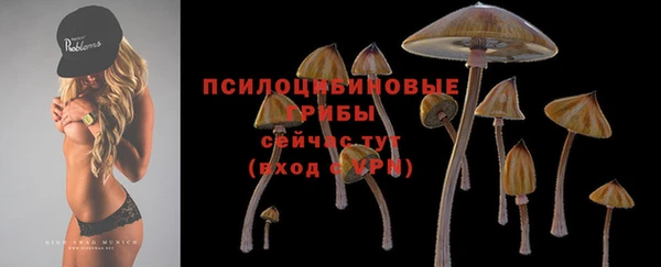 стафф Волосово